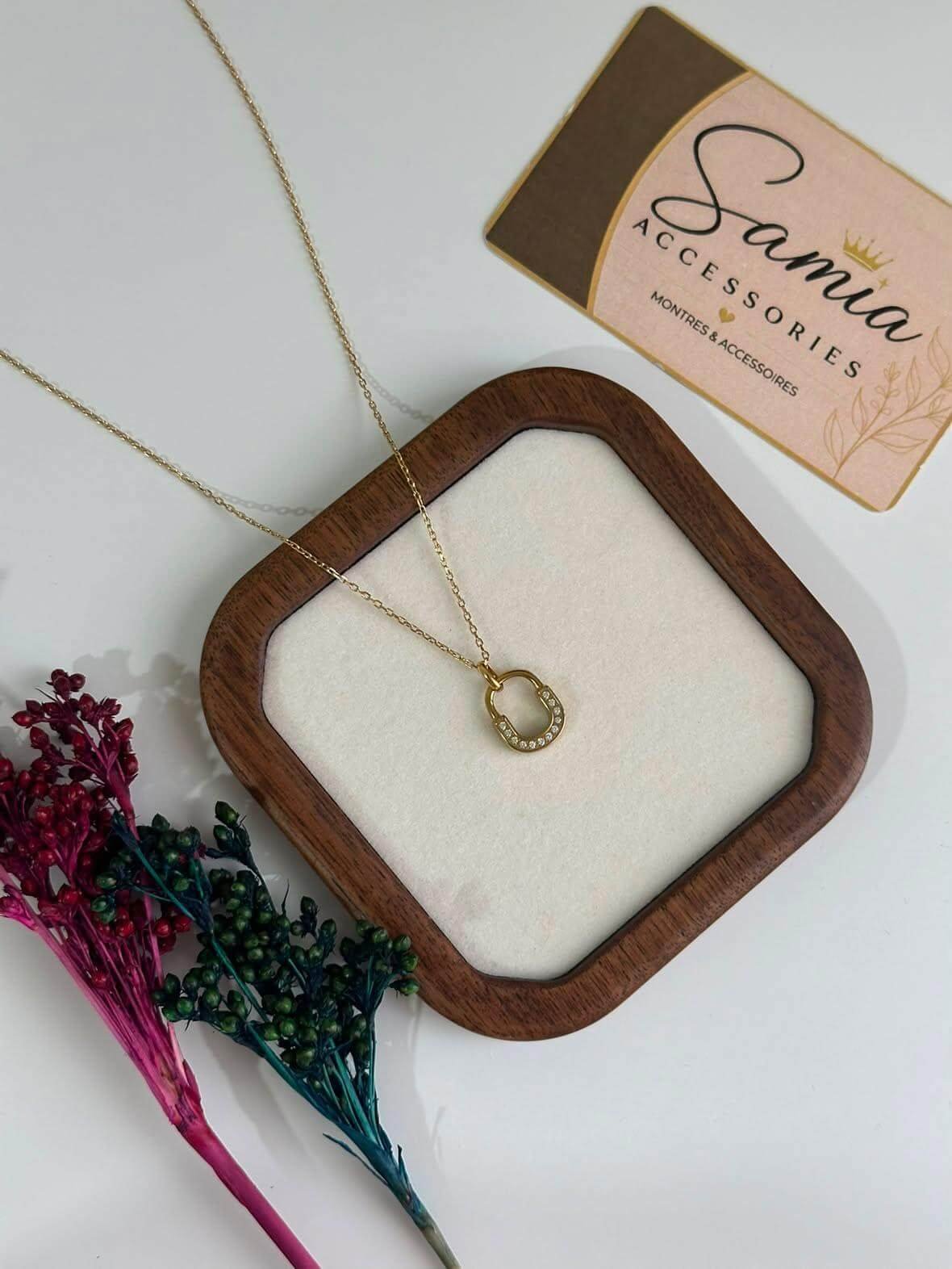 Collier en Acier Inoxydable