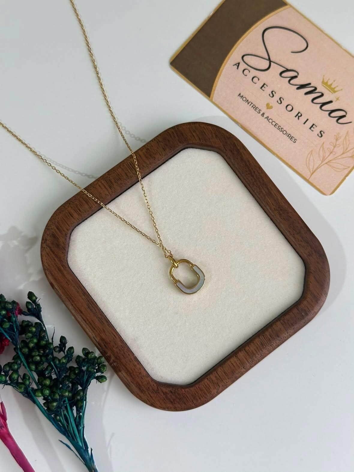 Collier en Acier Inoxydable